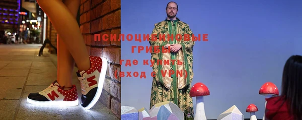 гашик Переславль-Залесский