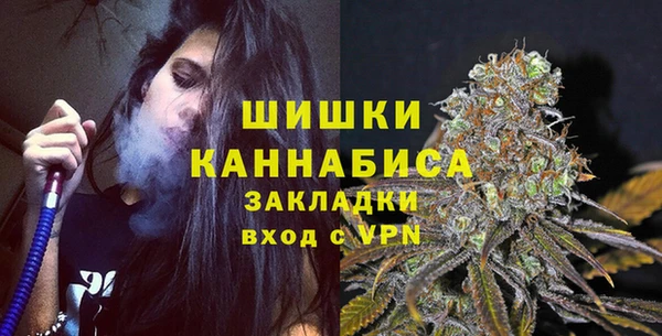 шишки Магас