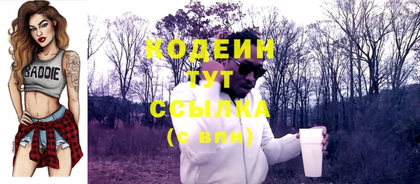 гашик Переславль-Залесский