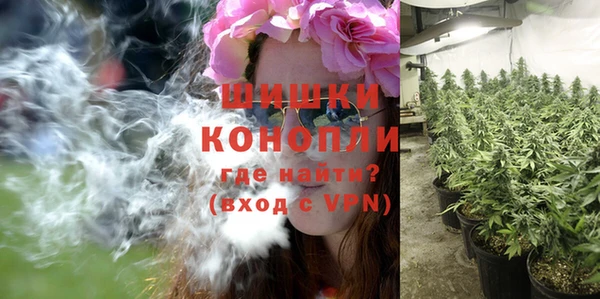 шишки Магас