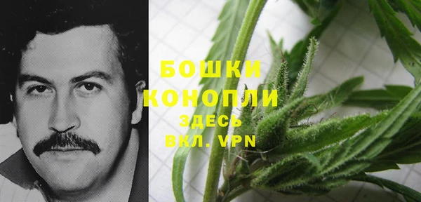 Альфа ПВП Липки