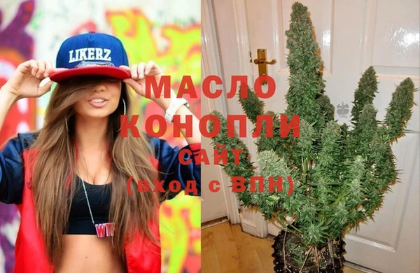гашик Переславль-Залесский