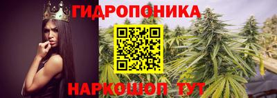 прущие крисы Беслан