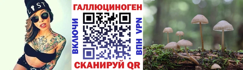 Галлюциногенные грибы Psilocybe наркота Ессентуки