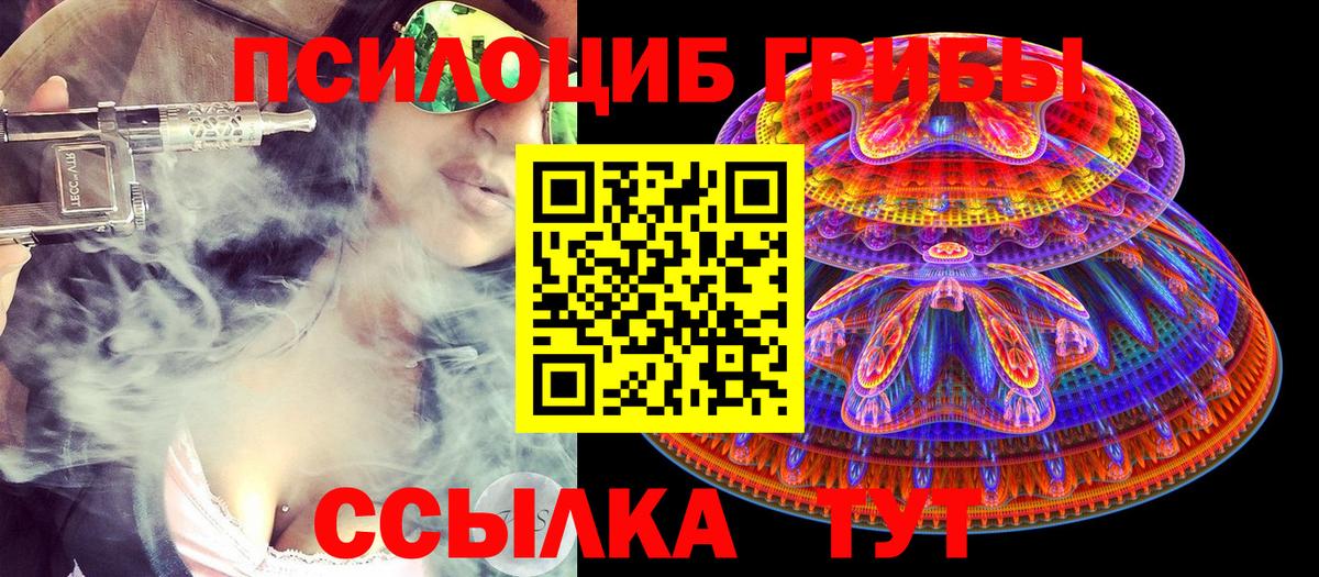 Псилоцибиновые грибы GOLDEN TEACHER Ессентуки