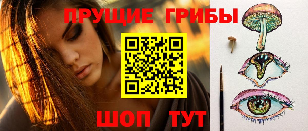 купить наркотики сайты  Вход с VPN  Ессентуки  Псилоцибиновые грибы GOLDEN TEACHER 