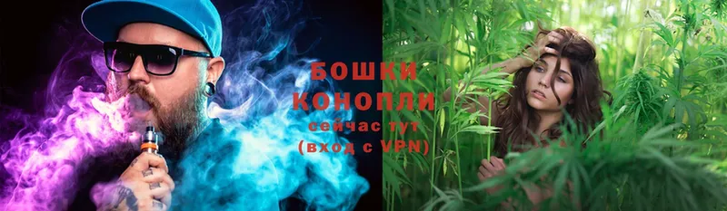 Шишки марихуана конопля  купить  цена  Ессентуки 