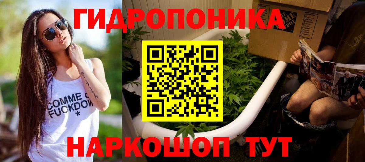 Бошки Шишки MAZAR Ессентуки